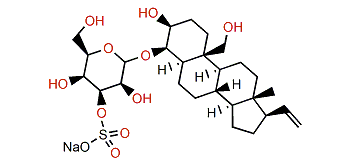 Ptilosaponoside B